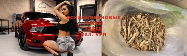 ГАЛЛЮЦИНОГЕННЫЕ ГРИБЫ Вяземский