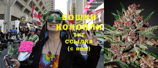 ГАЛЛЮЦИНОГЕННЫЕ ГРИБЫ Вяземский