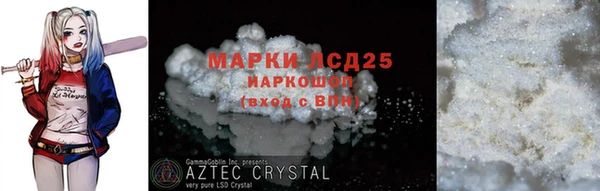 ГАЛЛЮЦИНОГЕННЫЕ ГРИБЫ Вяземский