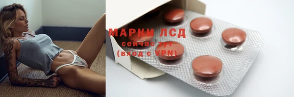 ГАЛЛЮЦИНОГЕННЫЕ ГРИБЫ Вяземский
