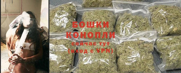 ГАЛЛЮЦИНОГЕННЫЕ ГРИБЫ Вяземский
