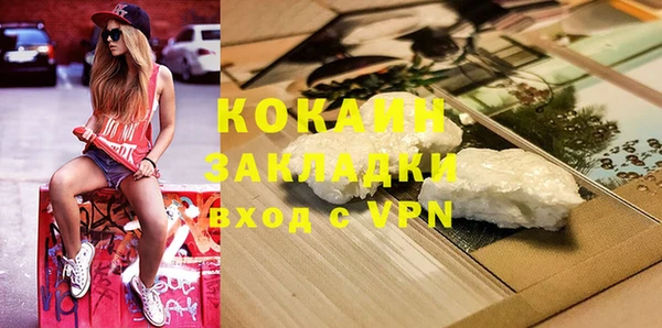 ГАЛЛЮЦИНОГЕННЫЕ ГРИБЫ Вяземский