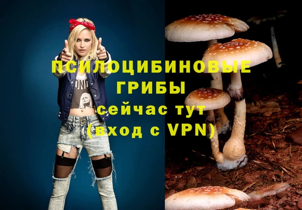 ECSTASY Вязьма
