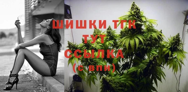 ECSTASY Вязьма