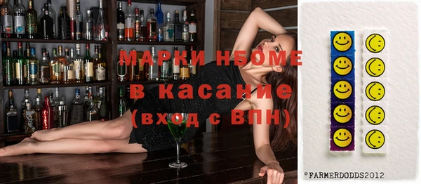 ГАЛЛЮЦИНОГЕННЫЕ ГРИБЫ Вяземский
