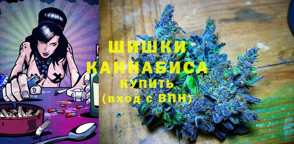 ГАЛЛЮЦИНОГЕННЫЕ ГРИБЫ Вяземский