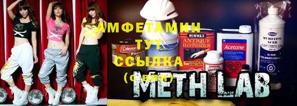ГАЛЛЮЦИНОГЕННЫЕ ГРИБЫ Вяземский