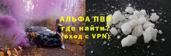 ГАЛЛЮЦИНОГЕННЫЕ ГРИБЫ Вяземский