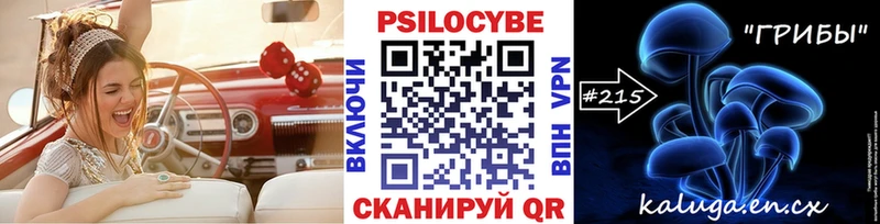 Купить  Топки  Галлюциногенные грибы GOLDEN TEACHER 